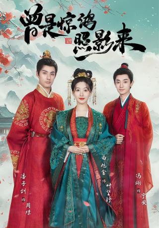 短剧曾是惊鸿照影来海报