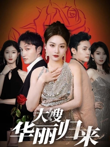 短剧大嫂华丽归来海报