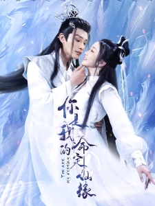 短剧你是我的命定仙缘海报