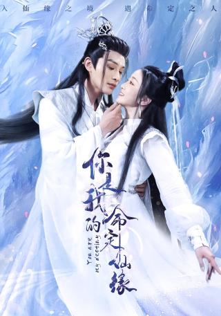 短剧你是我的命定仙缘海报