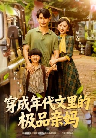 短剧穿成年代文里的极品亲妈海报