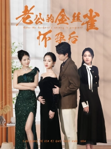 短剧老公的金丝雀怀孕后海报