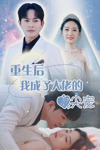 短剧重生后我成了大佬的心尖宠海报