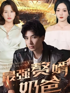 短剧最强赘婿奶爸海报