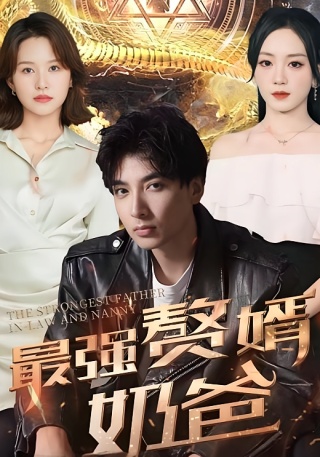 短剧最强赘婿奶爸海报