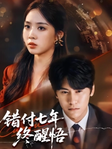 短剧错付七年终醒悟海报