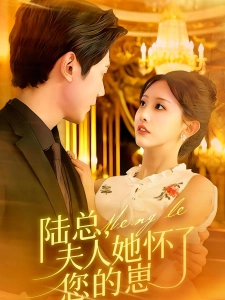 短剧陆总，夫人她怀了您的崽海报