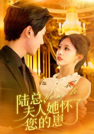 短剧陆总，夫人她怀了您的崽海报