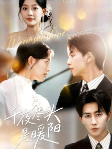 短剧千夜尽头是暖阳海报