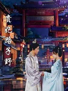 短剧贵妃路子野海报