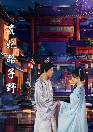 短剧贵妃路子野海报