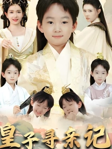 短剧皇子寻亲记海报