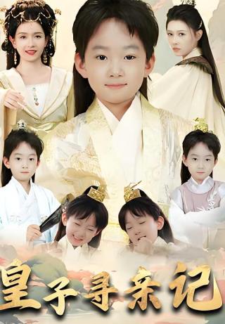 短剧皇子寻亲记海报