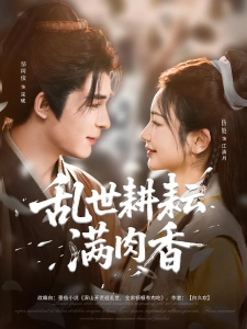 短剧乱世耕耘满肉香海报