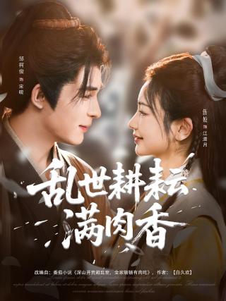 短剧乱世耕耘满肉香海报