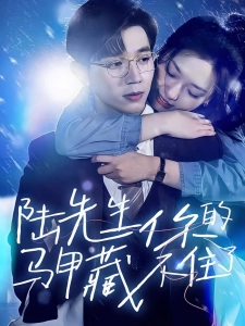 短剧先婚后爱陆总马甲藏不住了海报