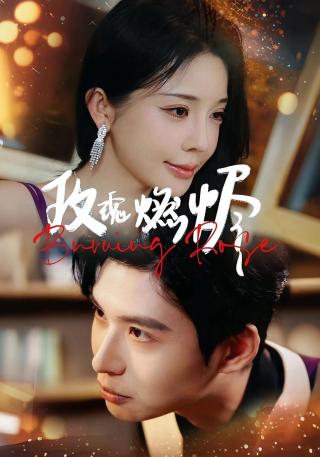 短剧玫瑰燃烬海报