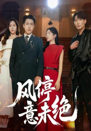 短剧风停意未绝海报