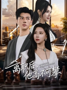 短剧离职后，他高不可攀海报