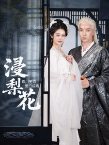 短剧浸梨花海报