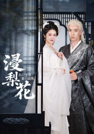 短剧浸梨花海报