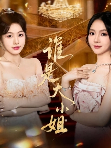 短剧谁是大小姐海报