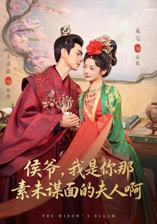 短剧侯爷，我是你那素未谋面的夫人啊海报