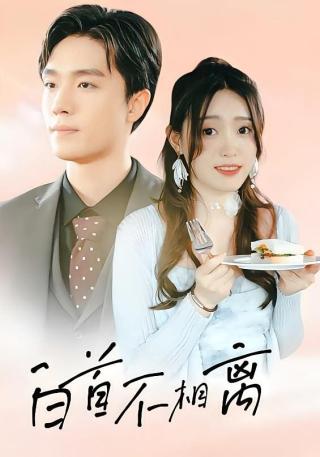 短剧白首不相离海报