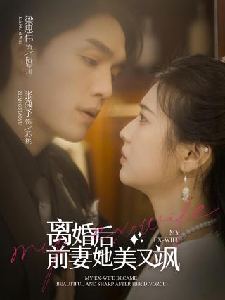 短剧离婚后前妻她美又飒海报