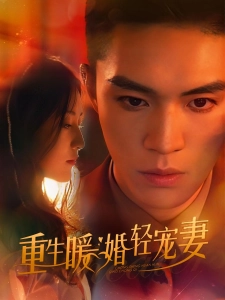 短剧重生暖婚轻宠妻海报