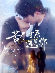 短剧苦尽甘来遇见你海报