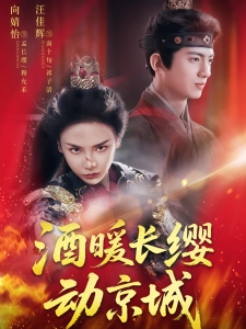 短剧酒暖长缨动京城海报