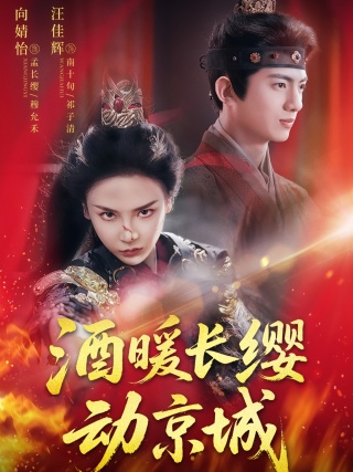 短剧酒暖长缨动京城海报
