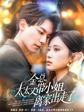 短剧金总，太太又带小姐离家出走了海报