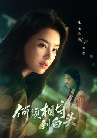 短剧何须相守到白头海报