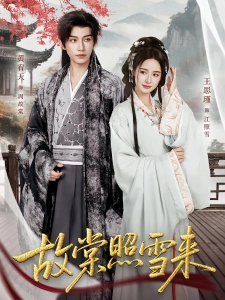 短剧故棠照雪来海报