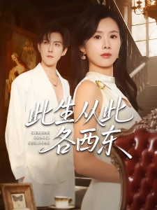 短剧此生从此各西东海报