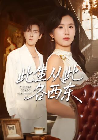 短剧此生从此各西东海报