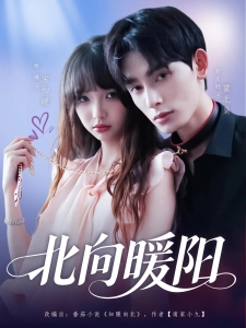 短剧北向暖阳海报