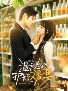 短剧温柔老公护短又爱妻海报