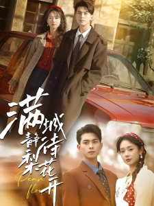 短剧满城静待梨花开海报