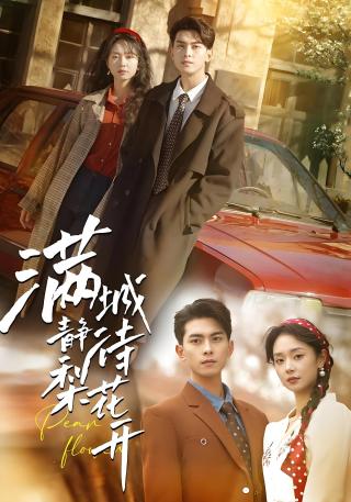 短剧满城静待梨花开海报