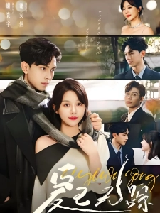 短剧爱已无踪海报