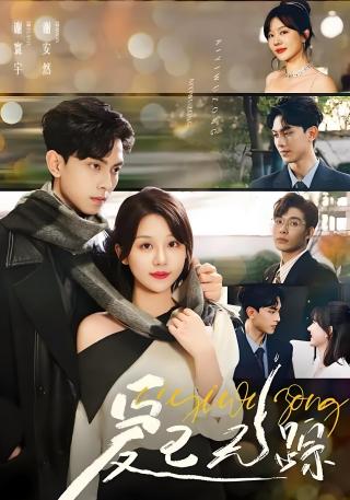 短剧爱已无踪海报