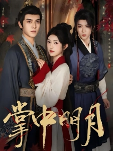 短剧掌中明月海报