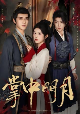 短剧掌中明月海报