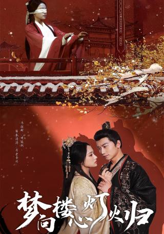 短剧梦向楼心灯火归海报