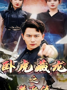 短剧卧虎藏龙之楚飞传海报