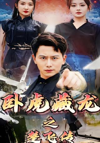 短剧卧虎藏龙之楚飞传海报