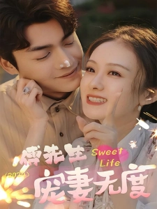 短剧傅先生宠妻无度海报